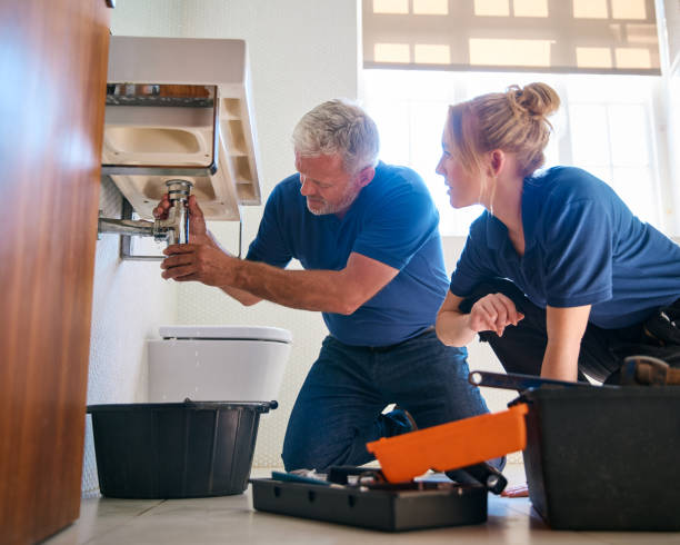 Best Plumbing Repair Near Me  in Wolfforth, TX